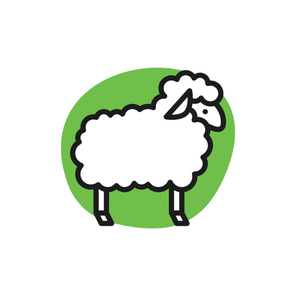 Live Laugh Lamb