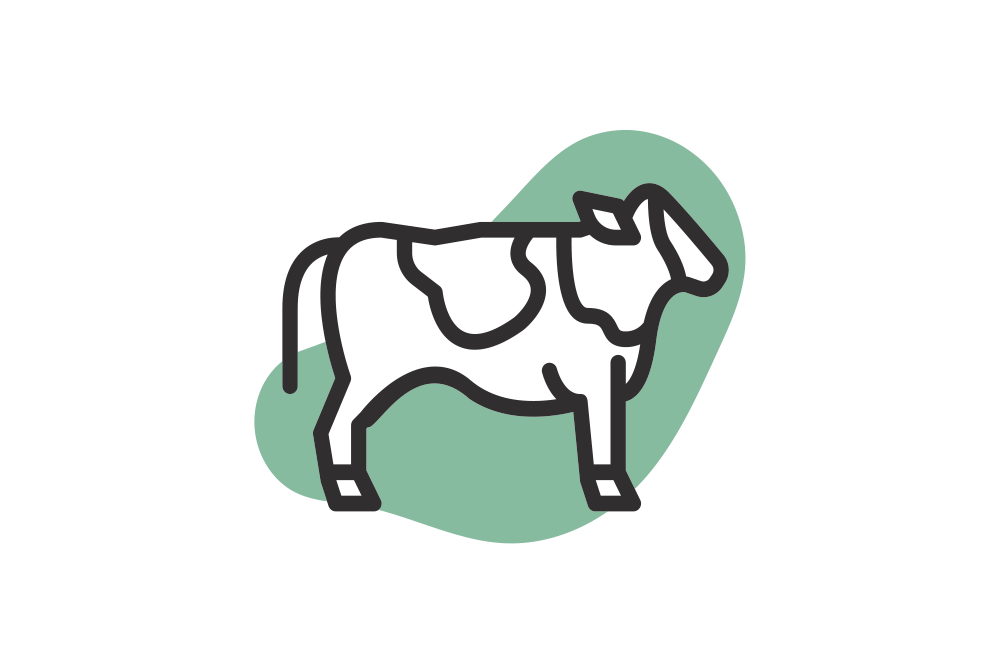 Bow Wow Cow (without shipping)