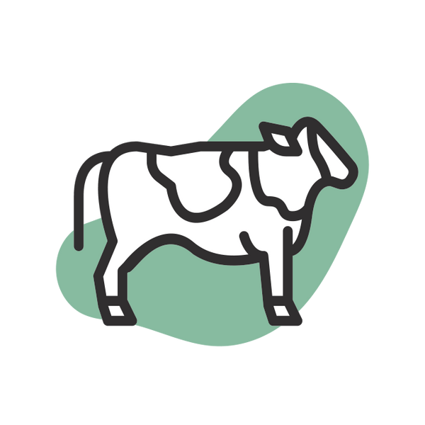 Bow Wow Cow (without shipping)