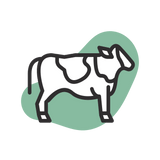 Bow Wow Cow (without shipping)