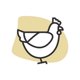 Pupper Doodle Do (without shipping)